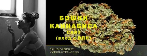 крисы Каменногорск