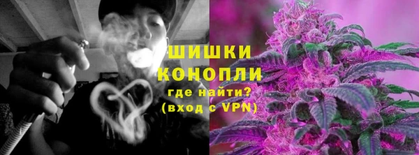 крисы Каменногорск
