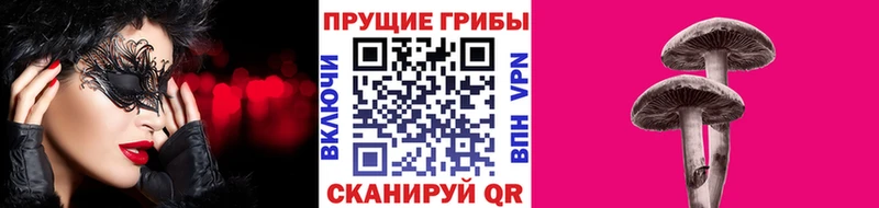 Купить  Межгорье  Галлюциногенные грибы Psilocybine cubensis 