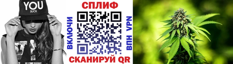 Конопля AK-47  Купить  Межгорье 